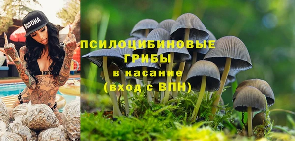 каннабис Алзамай