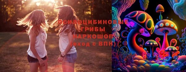 прущая мука Алексин