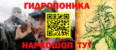 эйфоретик Анжеро-Судженск