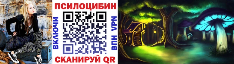 Галлюциногенные грибы Psilocybine cubensis  хочу   Невинномысск 