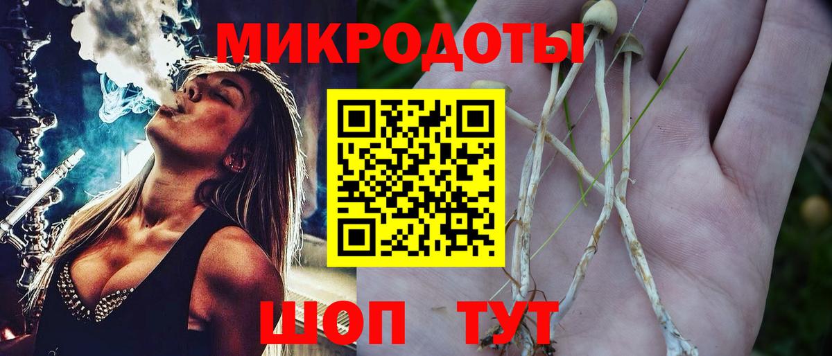 Галлюциногенные грибы GOLDEN TEACHER  магазин    Невинномысск  Псилоцибиновые грибы Psilocybe  Вход с VPN 